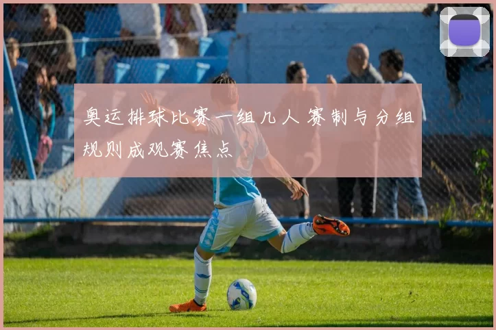 奥运排球比赛一组几人 赛制与分组规则成观赛焦点
