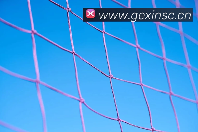 压球首页服务体系